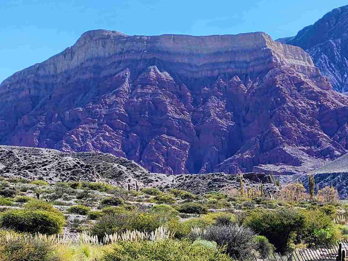Taller de Nadalino y Milagros / Viñedos&nbsp;Yacoraite